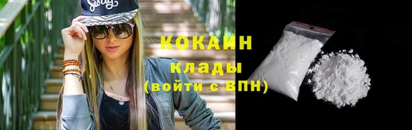 прущие грибы Осинники