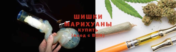 прущие грибы Осинники