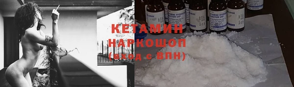 сатива Няндома