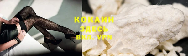 прущие грибы Осинники