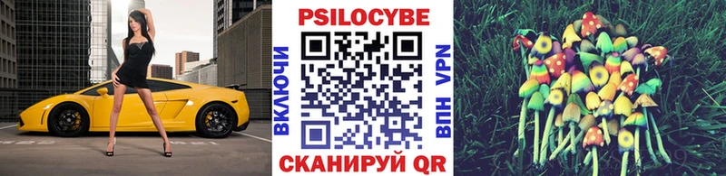 Псилоцибиновые грибы Cubensis Кадников